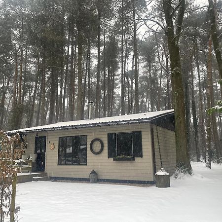 Chalet Sint Zutendaal Exteriér fotografie